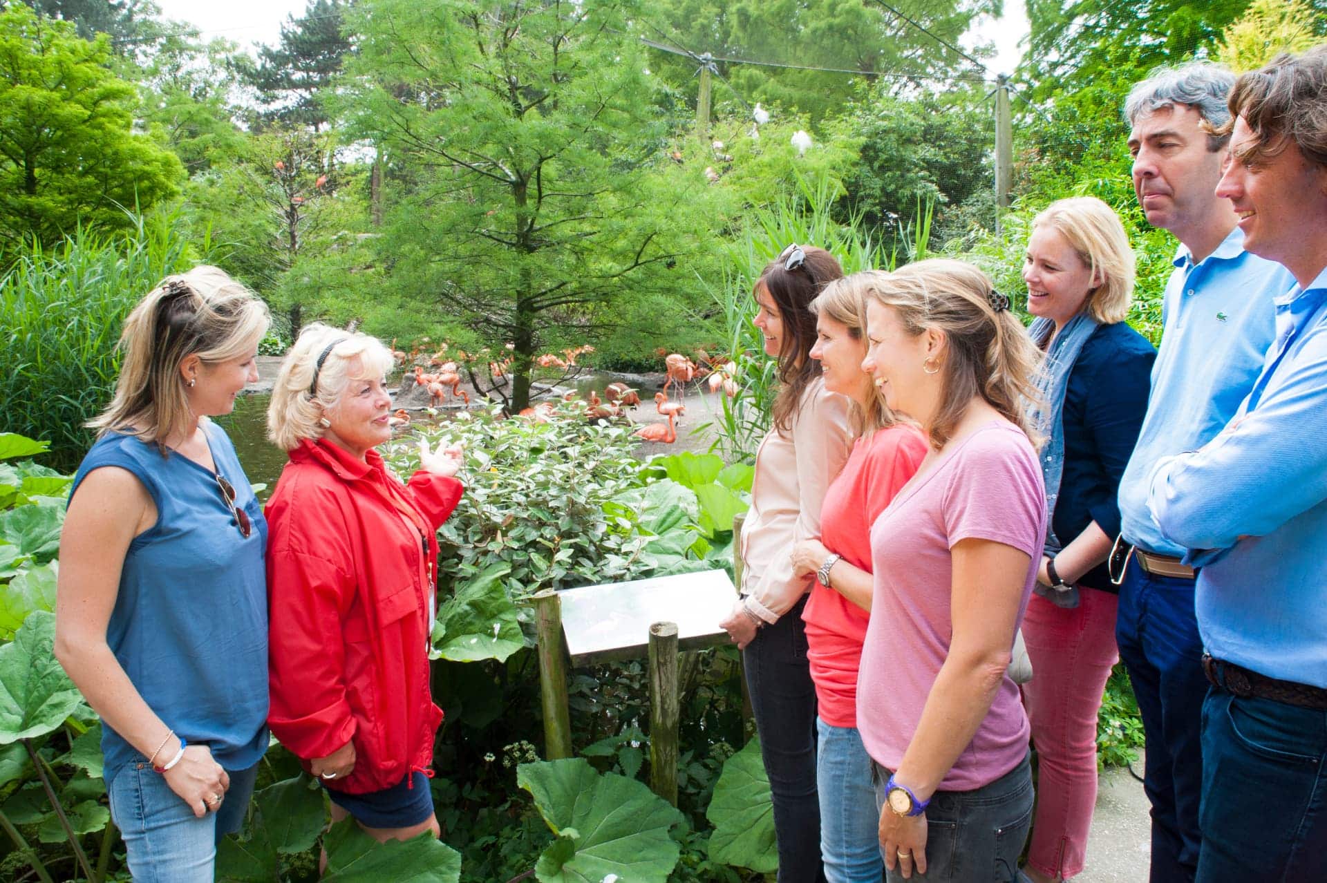 Bezoekers bij de flamingo’s