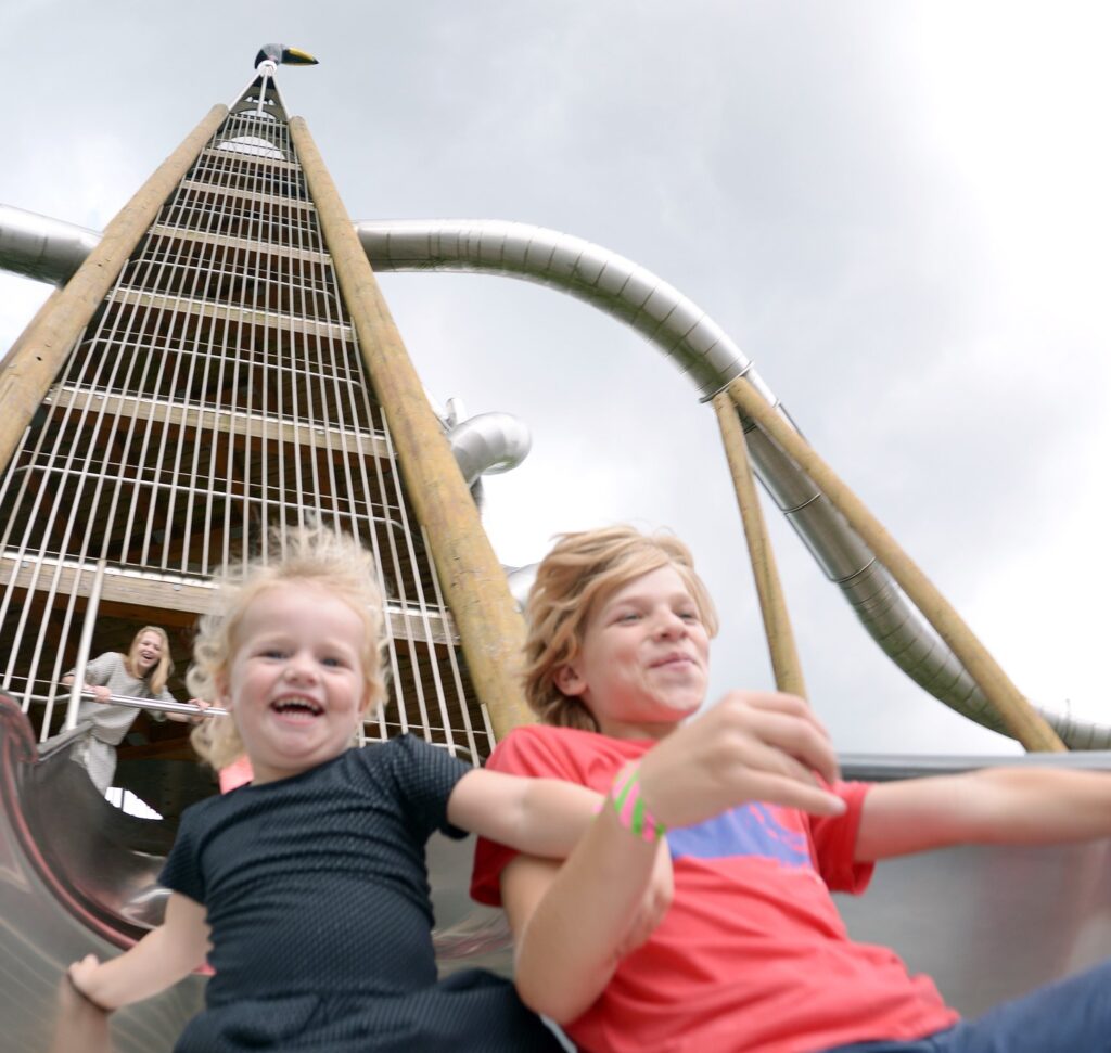 grote glijtoren Avifauna