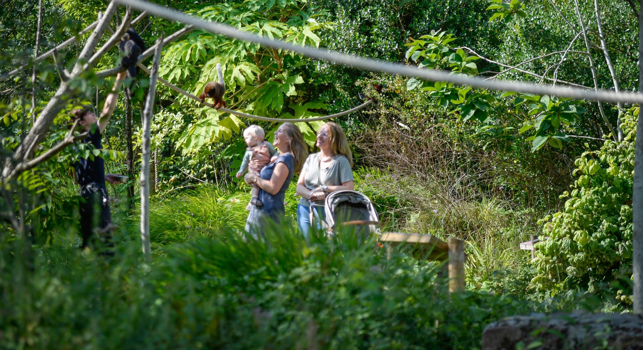 Voederpresentatie Dwergapen