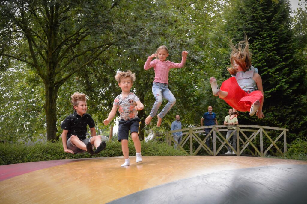 springkussen Avifauna