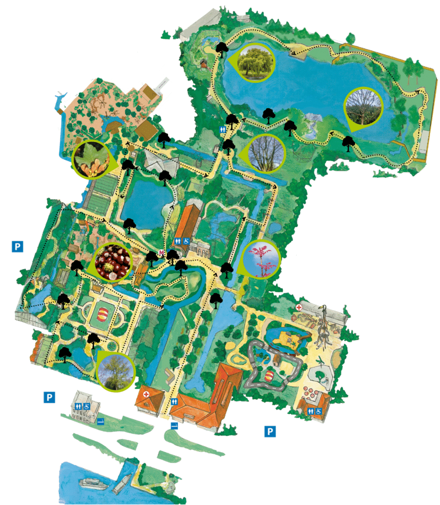 Plattegrond Wandelroute