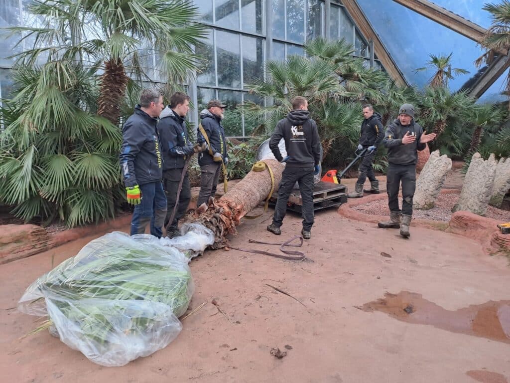 6cb38d14 Fae8 4301 88d8 B9eccf2746e9.jpg